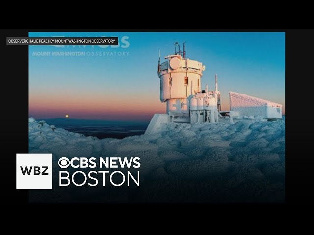 ⁣Photos show rime ice formations at Mount Washington in New Hampshire - what is the phenomenon?