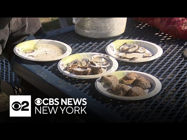 ⁣Oyster Fest returns to Oyster Bay, Long Island this weekend