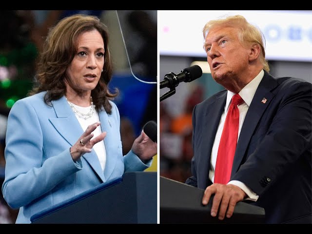 ⁣VP Kamala Harris, former President Donald Trump campaigning in metro Detroit