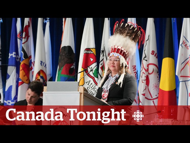 ⁣Why did First Nations reject $47.8B child welfare reform offer? | Canada Tonight