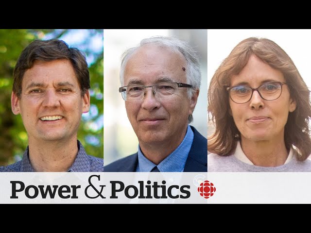 ⁣Highs and lows of B.C's tight election ahead of voting day