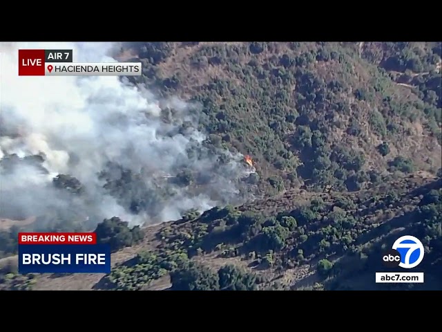 ⁣Brush fire breaks out in Hacienda Heights amid red-flag conditions