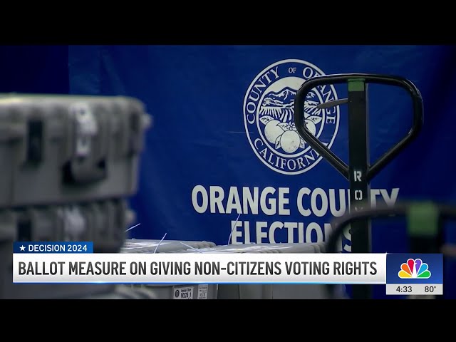 ⁣Measure DD: Will Santa Ana voters allow non-citizens to vote?