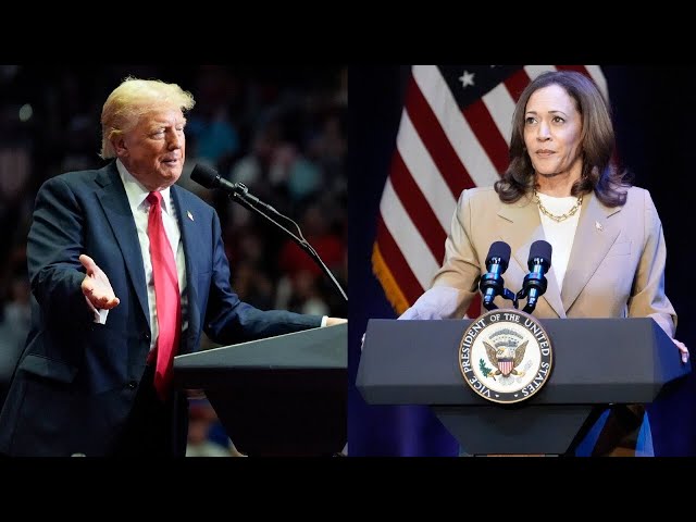 ⁣‘She’s not a smart person’: Kamala Harris and Donald Trump trade insults in Michigan