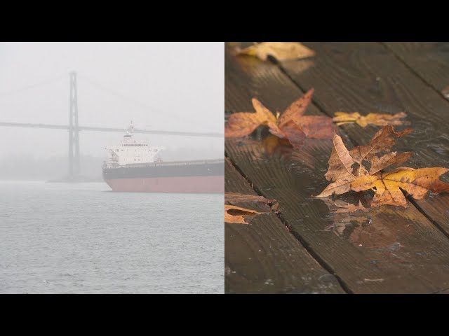 ⁣Atmospheric river triggers heavy rainfall in B.C. this weekend