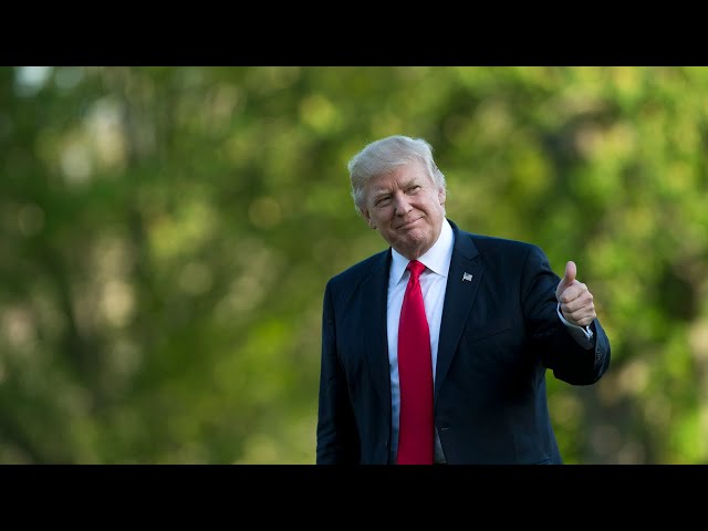 ⁣Donald Trump ‘always overperforms’ in polls