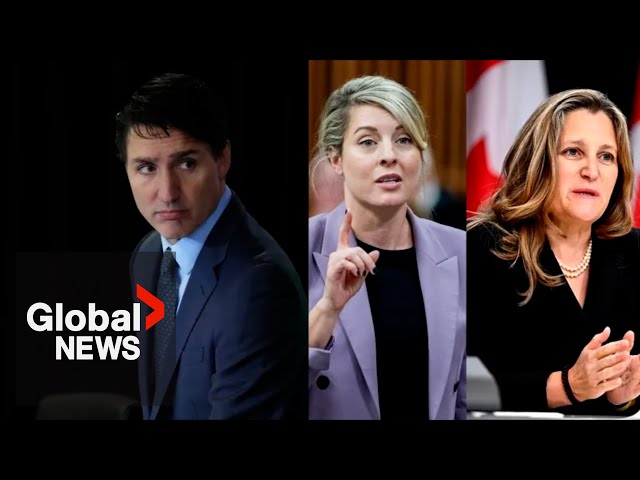 ⁣Top Liberals display united front, as calls for Trudeau to step aside grow