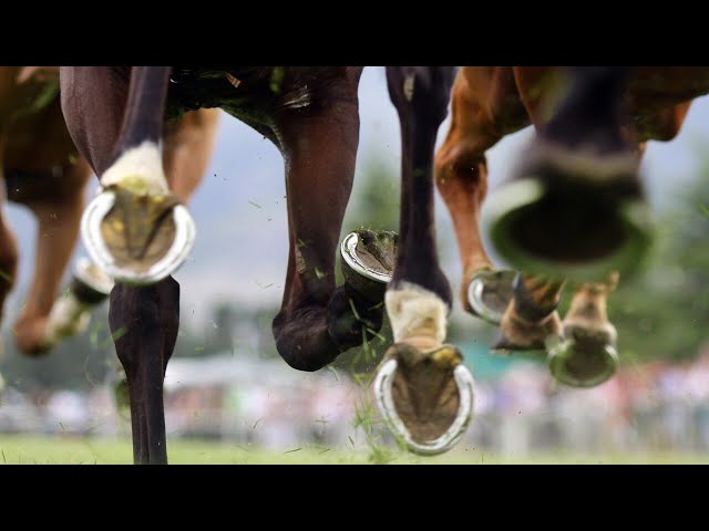 ⁣Racing Dreams breaks down the tips for Everest Day