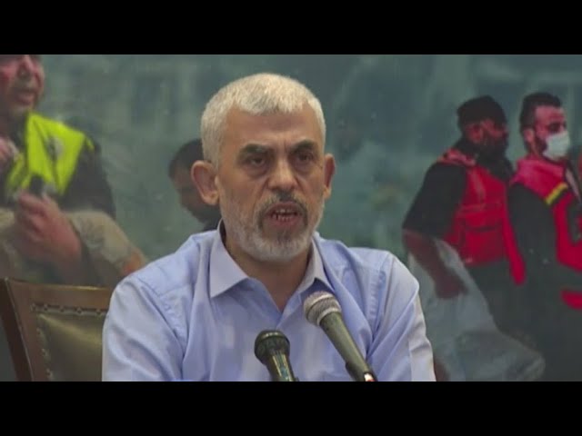 ⁣Michigan expert weighs in on death of Hamas leader Yahya Sinwar