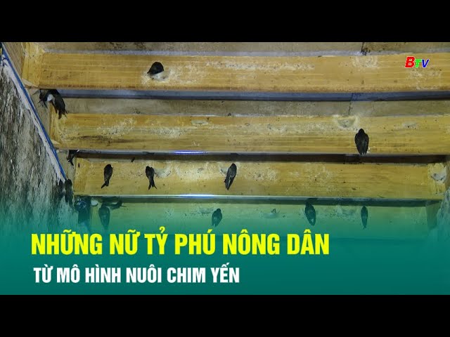 ⁣Những nữ tỷ phú nông dân từ mô hình nuôi chim yến