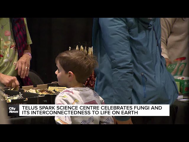 ⁣Telus Spark celebrates fungi and its interconnectedness to life on earth