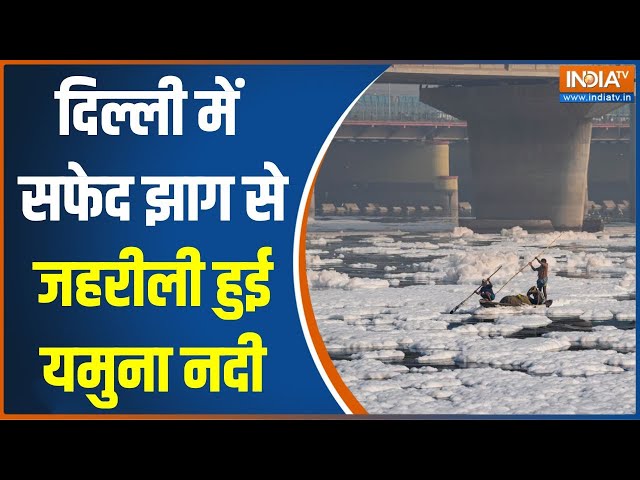 ⁣Toxic Foam On Yamuna River: दिल्ली में सफेद झाग से जहरीली हुई यमुना नदी..2 फीट बढ़ा सफेद झाग