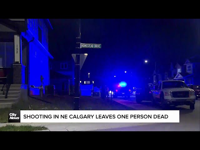 ⁣Shooting in NE Calgary leaves one person dead