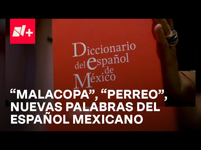 ⁣Expresiones coloquiales que recoge el Diccionario del Español de México - En Punto