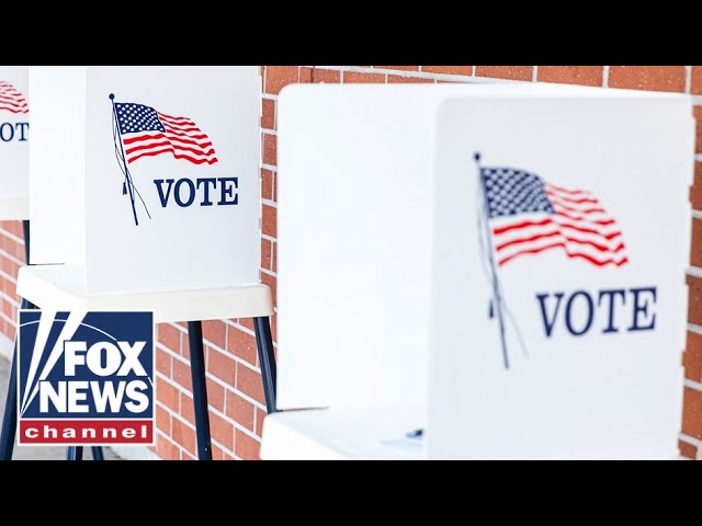 ⁣'ENCOURAGING NUMBERS': Key swing state's early voting data hints at shocking change