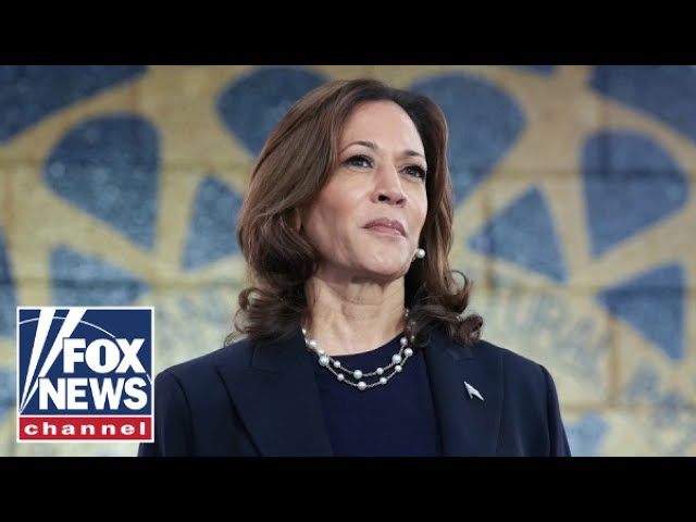 ⁣'NO PATH FOR HARRIS': Losing key voting bloc could spell doom for Dems, Michigan Republica