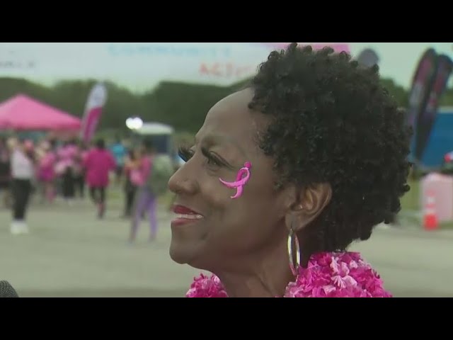 ⁣Susan G. Komen More Than Pink Walk at Amelia Earhart Park honors Breast Cancer Awareness Month