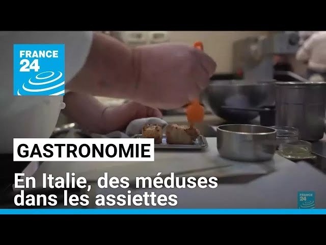 ⁣Gastronomie italienne : des méduses dans les assiettes • FRANCE 24