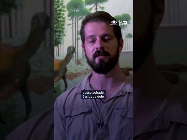 ⁣Fóssil de 237 milhões de anos dão pistas sobre a origem dos dinossauros