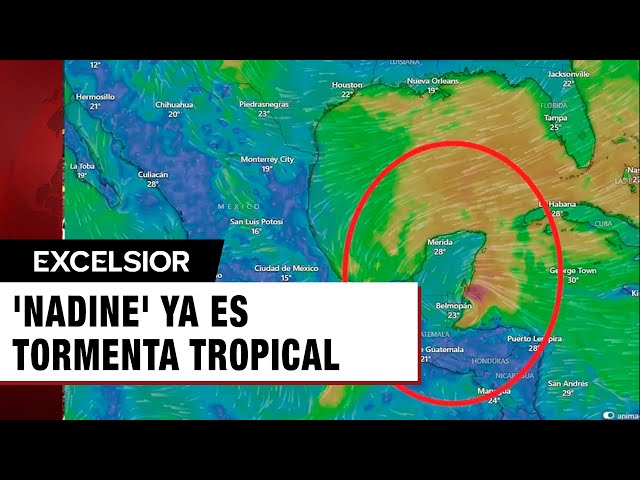 ⁣'Nadine' ya es Tormenta Tropical 'pega' en Belice y Quintana Roo