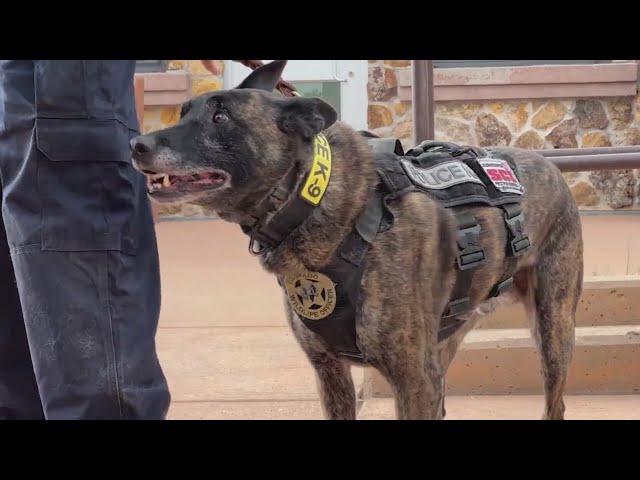 ⁣CPW ceremony honors retiring K-9