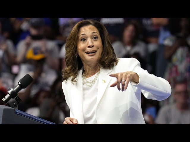 ⁣‘Nobody voted for her’: Kamala Harris is an ‘installed candidate’