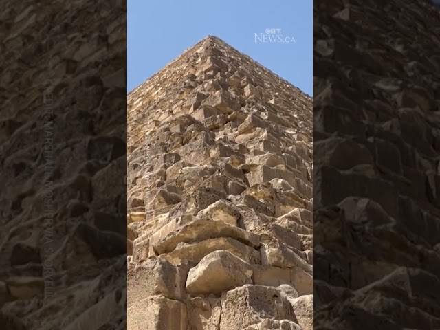 ⁣Stray dog spotted climbing down Great Pyramid in Egypt