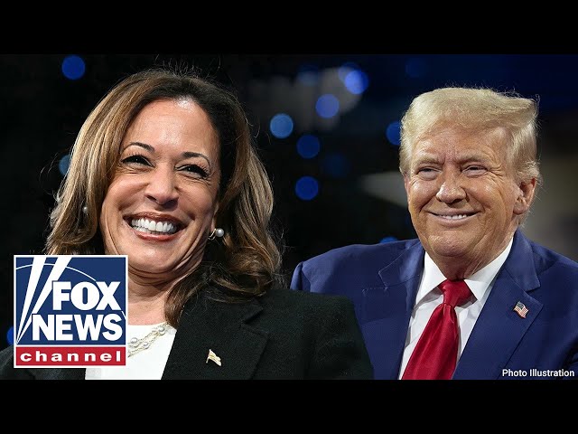 ⁣Key battleground state set to be ‘razor-thin’ race between Trump and Harris