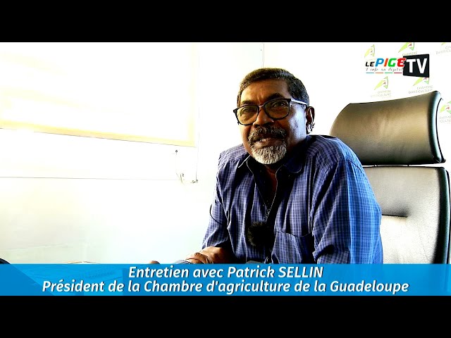 ⁣Entretien avec Patrick SELLIN, Président de la Chambre d'agriculture de la Guadeloupe