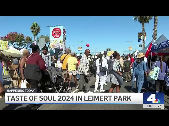 ⁣Taste of Soul 2024 in Leimert Park