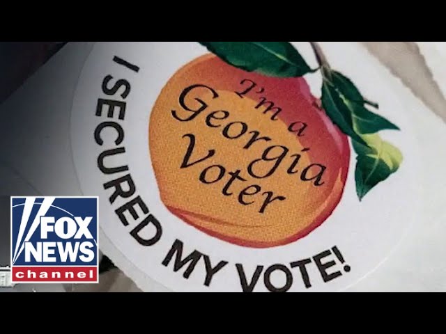 ⁣'DOWN IN FLAMES': Georgia election official praises court for striking down ballot countin