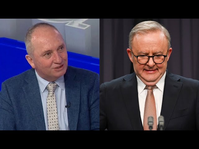 ⁣‘Pure genius’: Barnaby Joyce reacts to Anthony Albanese buying $4.3 million house