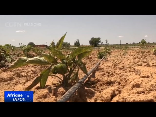 ⁣Une entreprise nigérienne à l'origine d'une révolution numérique