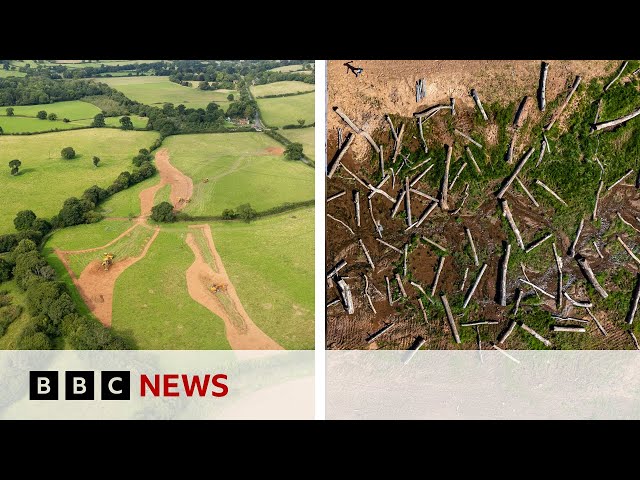 ⁣What happens when you set a river free? | BBC News