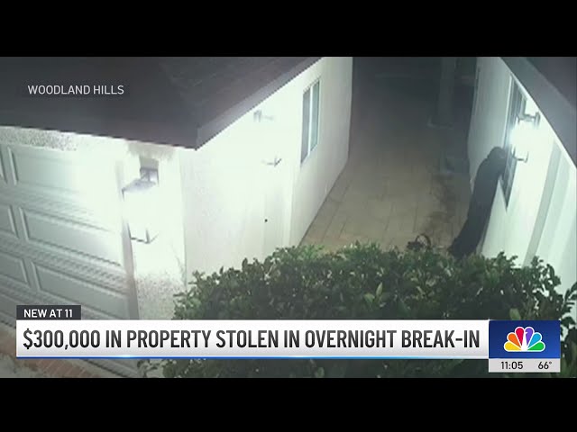 ⁣Surveillance footage captures thieves stealing $300k from Woodland Hills home