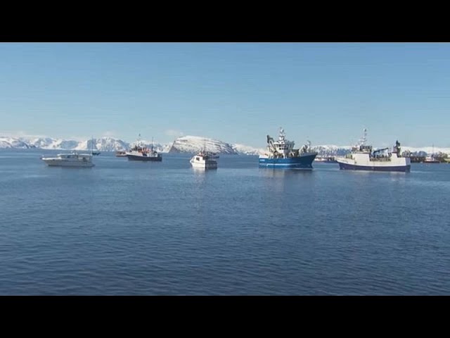 ⁣Fischer in Norwegen blockieren Häfen aus Protest gegen neue Fangquoten