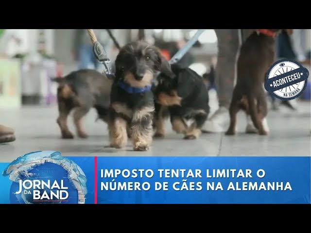 ⁣Aconteceu na Semana | Imposto tentar limitar o número de cães na Alemanha