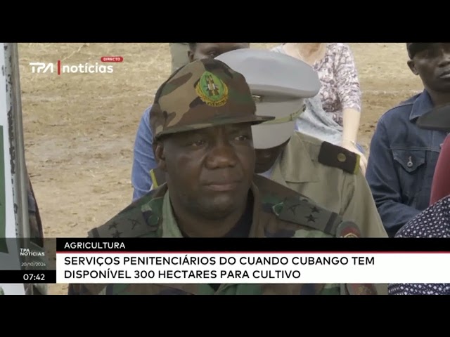 ⁣Agricultura - Serviços penitenciários do Cuando Cubango tem disponível 300 hectares para cultivo