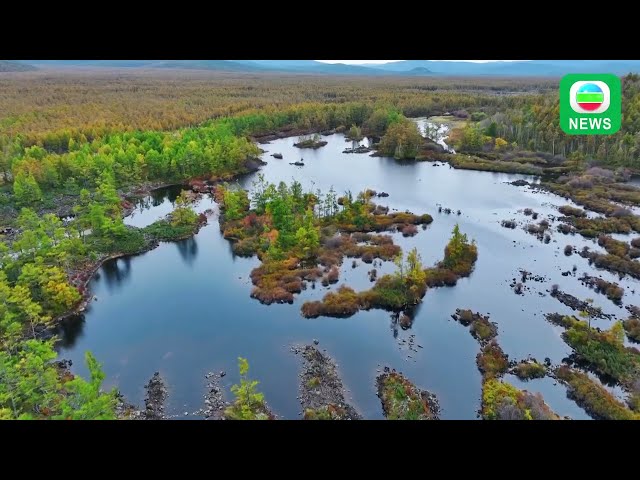 ⁣TVB News｜20 October 2024│Golden trees in Inner Mongolia in the Autumn