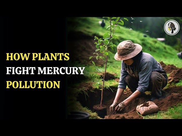 ⁣How Plants Fight Mercury Pollution | WION Podcast