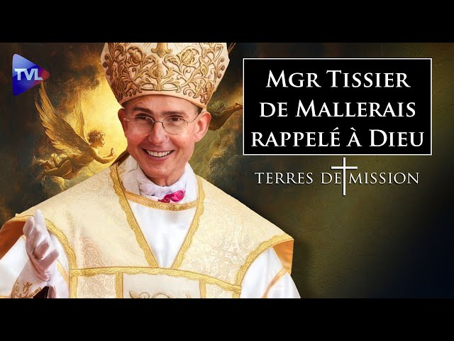 ⁣Quel avenir pour la tradition catholique ? - Terres de Mission n°382 - TVL