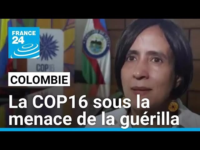 ⁣COP16 sur la biodiversité en Colombie : un sommet sous la menace de la guérilla • FRANCE 24