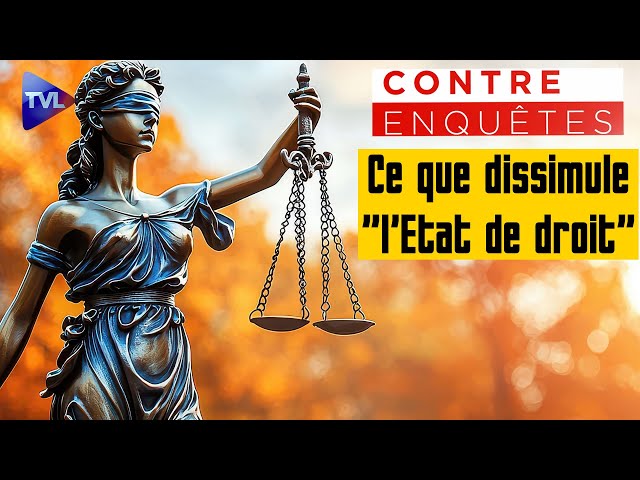 ⁣Affaire Philippine, ce que dissimule "l'Etat de droit" - Contre-enquêtes - TVL