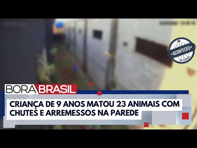 ⁣Aconteceu na Semana | Criança que matou 23 animais "chutou a cabeça e arremessou na parede"