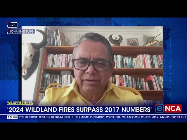 ⁣Wildfires In SA | '2024 wildland fires surpass 2017 numbers'