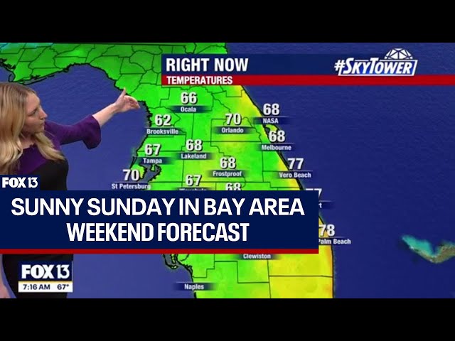 Tampa weather: Sunny Sunday across Bay Area