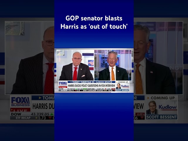 ⁣Harris’ interview strategy is ‘don’t say anything, blame’ Trump #shorts