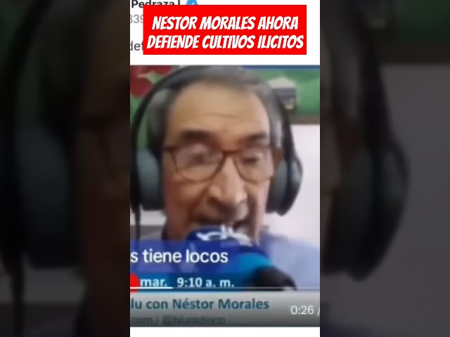 ⁣NESTOR MORALES AHORA DEFIENDE CULTIVOS ILICIT0S