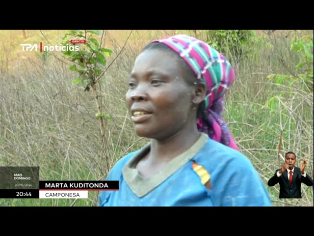 Mulher rural - Representa a principal força na produção de alimentos