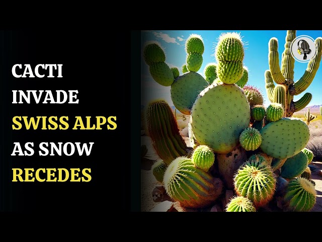 ⁣Cacti Invade Swiss Alps As Snow Recedes | WION Podcast